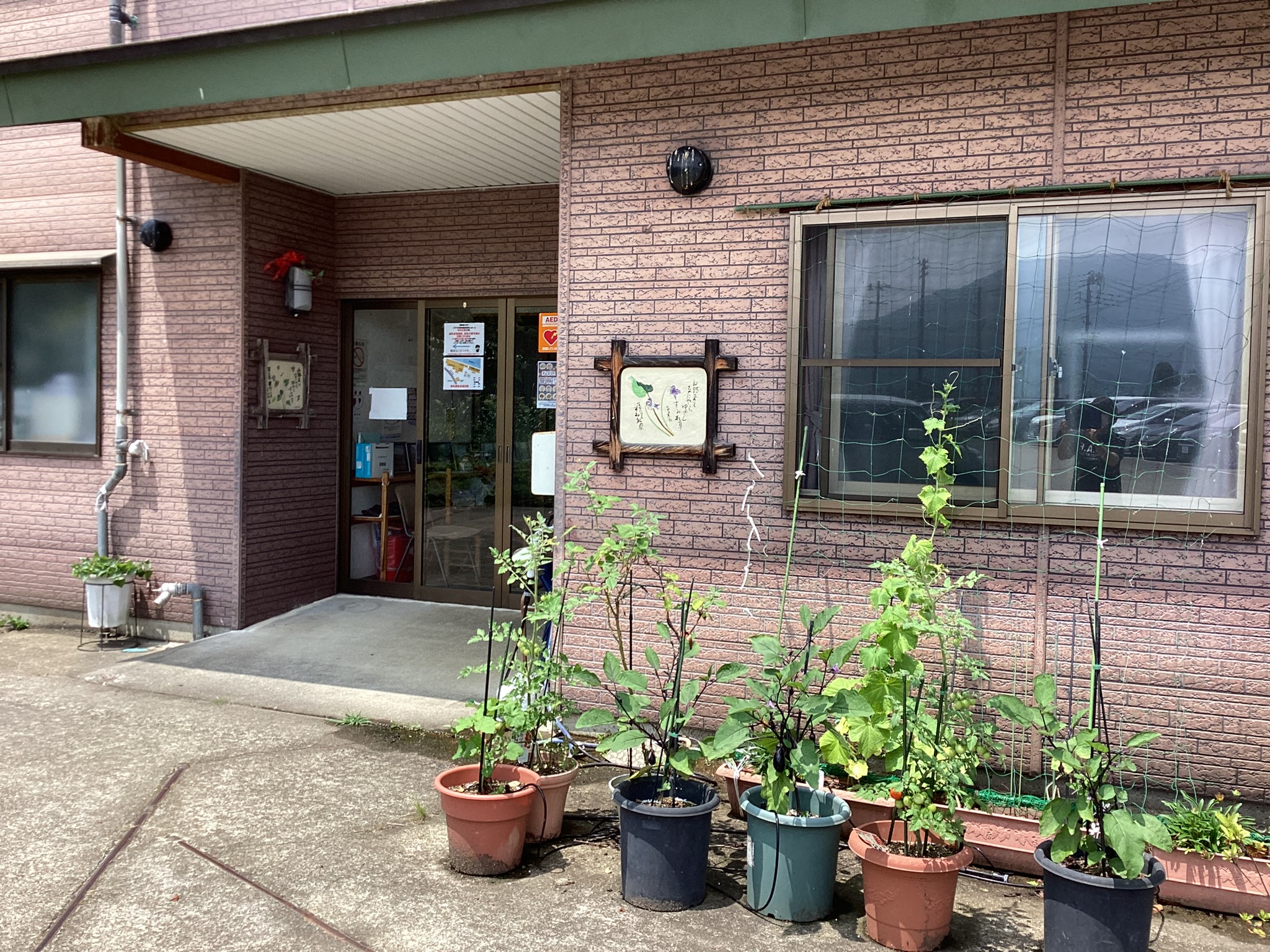 萌気園老人ホーム　すみれ草